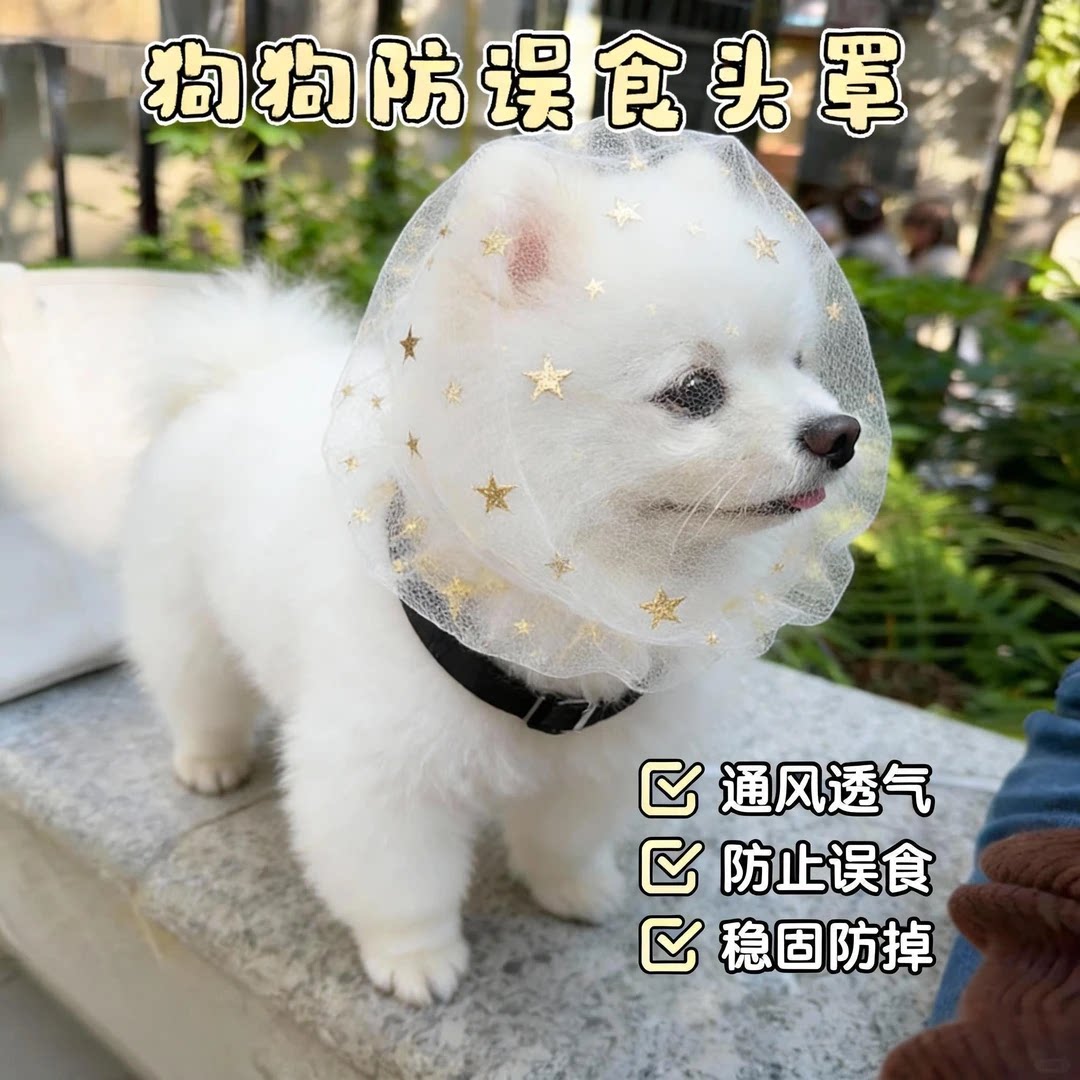 狗狗误食头纱偷吃面罩舒适嘴套