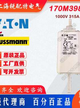 170M3989快速熔断器 1000V 315A 巴斯曼BUSSMANN快速熔断器