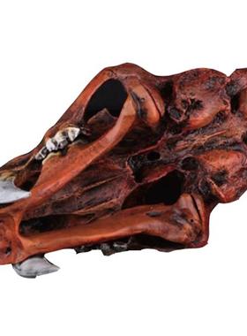 米模色美洲剑齿虎头骨型仿古生物石美洲剑齿化动物树脂工艺品藏摆