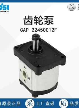 德国直采LOESI齿轮泵CAP 22450012F 多型号