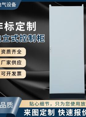 仿威图工业电气控制柜PLC机柜ES五折柜动力配电箱新能源配电柜
