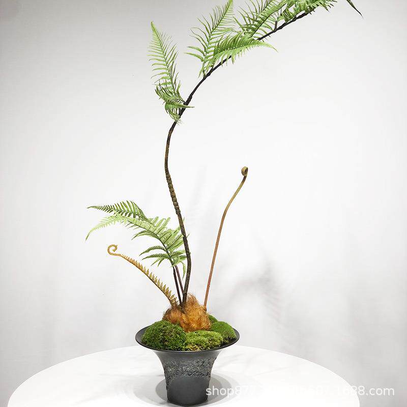 新中式简约意境造景仿真花艺金丝猴蕨金毛蕨树绿植禅意茶室样板间