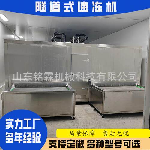 供应大型隧道式速冻机商用全自动水果丁保鲜速冻设备青豆速冻机