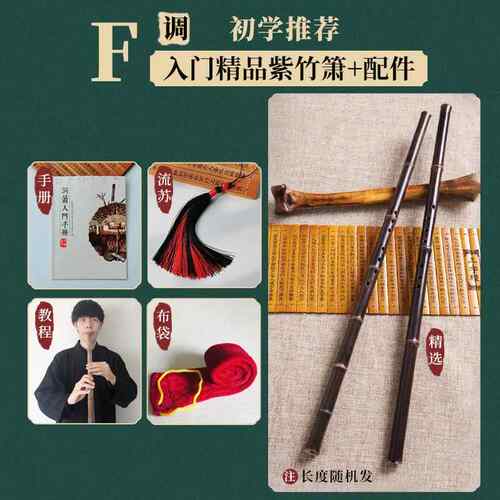 高档楚 紫箫零基础竹成人初学专业高档精制一吟节洞箫八孔FGE民族