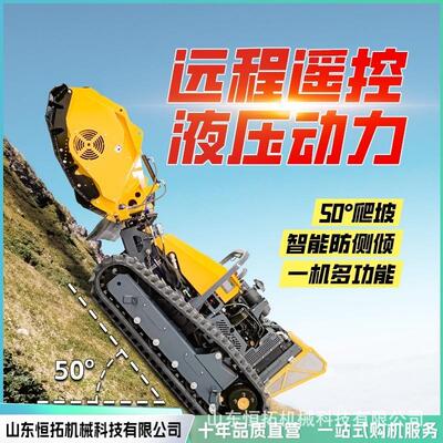 隔离带清障机 森林山地液压履带式割灌拓荒机 大型堤坝割草机