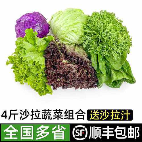蔬菜沙拉套餐4斤 新鲜混合色拉轻食餐西餐生菜沙拉食材蔬菜