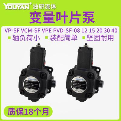 VPE液压VVPE油泵VCM PVD-DF VP-SF-08/12/15/20/30/40变量叶片泵D