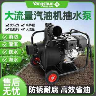 大流量海水泵农用灌溉排水泵耐酸碱6寸抽水泵抗洪汽油机自吸泵
