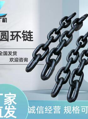 厂家供应承重30x120 捞渣机链条 渗碳链条 除渣机链条 不易断裂