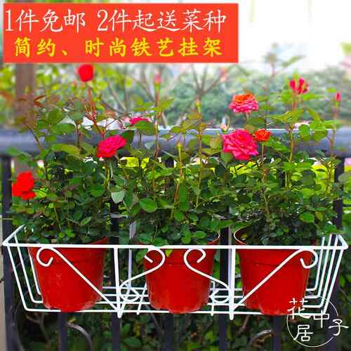 阳台栏杆露台壁挂挂架长方形花盆专用花架简约铁艺花架子霍伦盆架