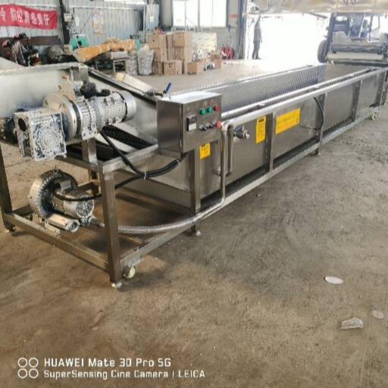 蔬菜清洗机菌类药材毛发去杂机水果毛刷清洗设备