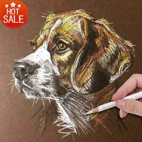 White charcoal high light pen white sketch pencil brush set