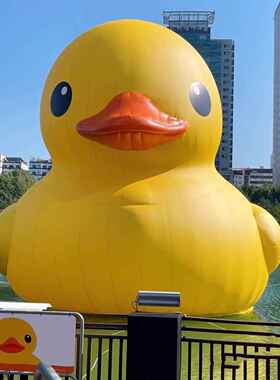 充气水上大黄鸭白鹅巨型漂RRZ浮物水景区商场陆装大饰美陈充卡通
