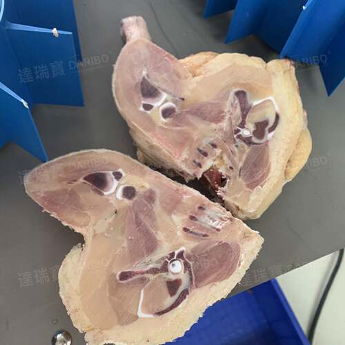 W全自动猪蹄劈半机劈半锯 屠宰场猪蹄劈半机分半机器猪蹄加工机械