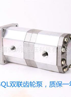 双联齿轮泵C1008B/6-KB2FR CBK1AZS00B8/6-B3FR CK1010/8-A1FR