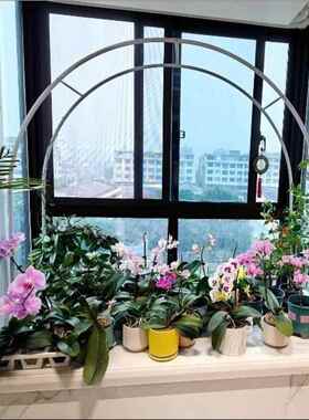 s浩拱门NNZ花架葡萄架爬藤绿架园月季架萝植物架户外花庭院门花装