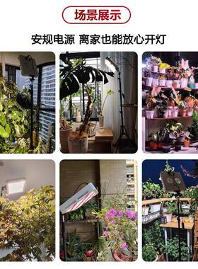 植BAE物补专灯全光谱植物生长灯仿光太阳光室内落多地灯肉用补光
