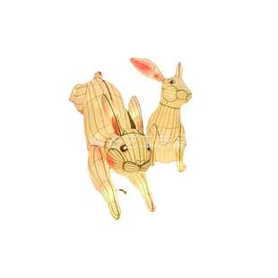 中秋花灯金色月球玉兔嫦娥奔月荷花灯金鱼鲤鱼水果灯笼龙灯宫灯