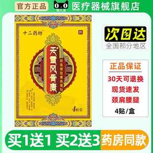 二药坊天雪风骨康4装颈肩腰痛保健腿贴颈椎腰椎间盘FNY突十出正贴