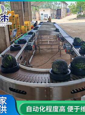 重量分选机哈密瓜香瓜柚子重量分拣线水果重量分级秤工厂直供价格