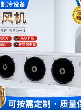 冷风机吊顶式冷库蒸发器DD40/DL60/DJ30冷冻冷藏制冷风机