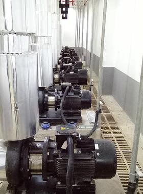 南方水泵端吸离心泵NIS65-50-160/4 NISF65-50-160/4