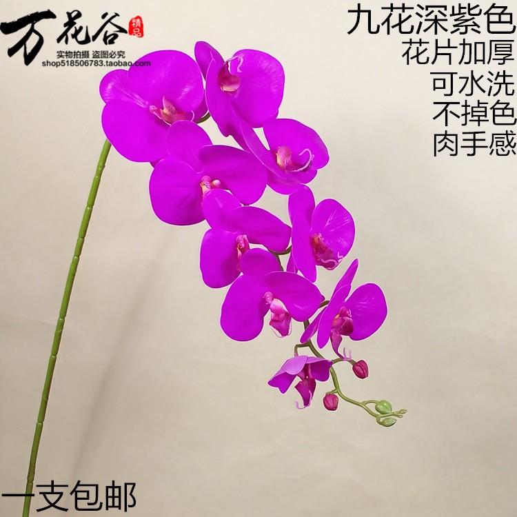 仿真花蝴蝶兰pu手感过胶单支干花饰假花客厅餐桌摆设摆放兰花