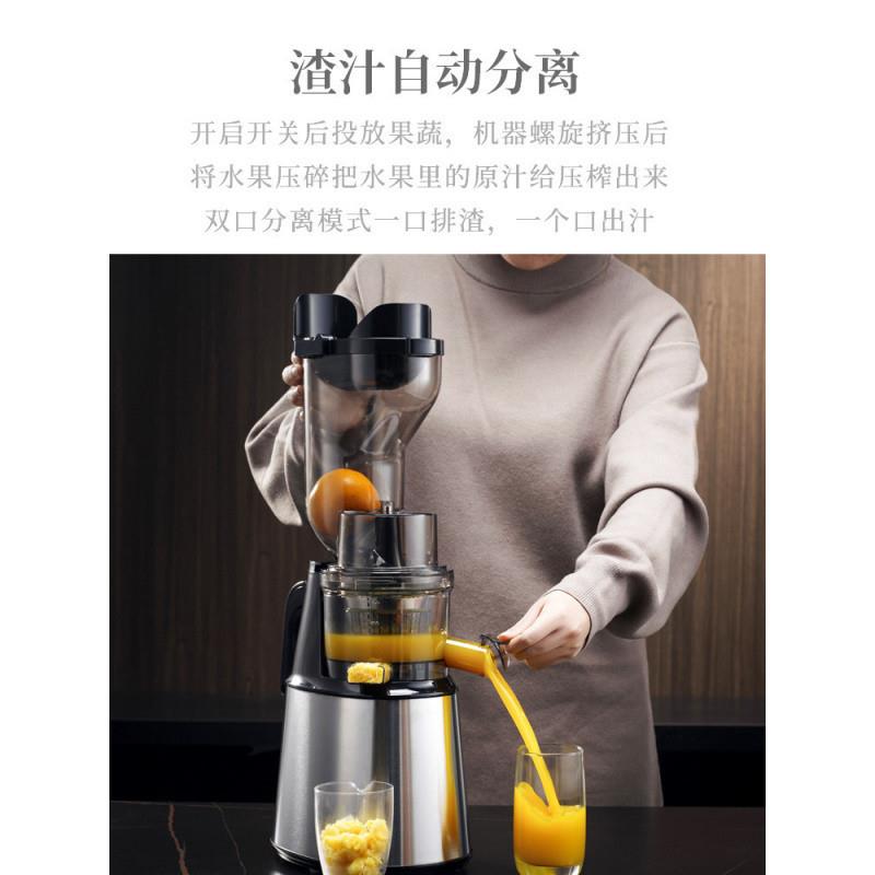 dde全自商用分离渣动汁原汁机榨QRZ德国石榴果汁家用器榨汁汁机