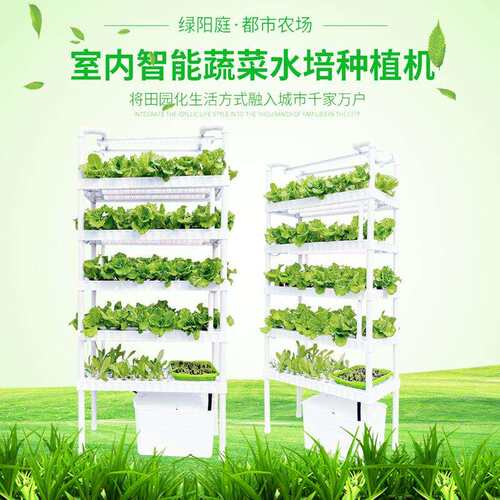 无土栽培设备 水培种菜机 多层花架 植物补光灯 智能种菜机