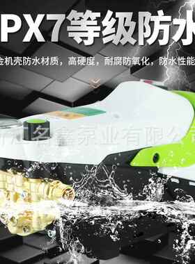 德国202式6款便携洗车爆机220v新款全TYI大自动调压5800W功率刷车