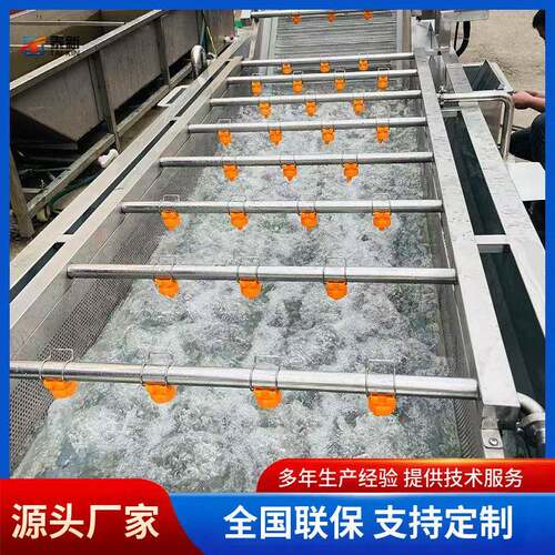 菠菜萝卜水果去泥去杂质设备净菜加工设备全自动果蔬气泡清洗机