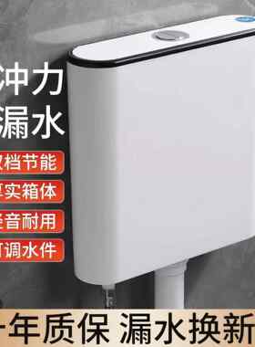 冲水箱水桶厕所立式马桶水箱抽水蹲便器卫生间配件蹲坑坐便器家用