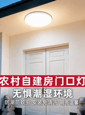 农村自建房大门口吸顶灯