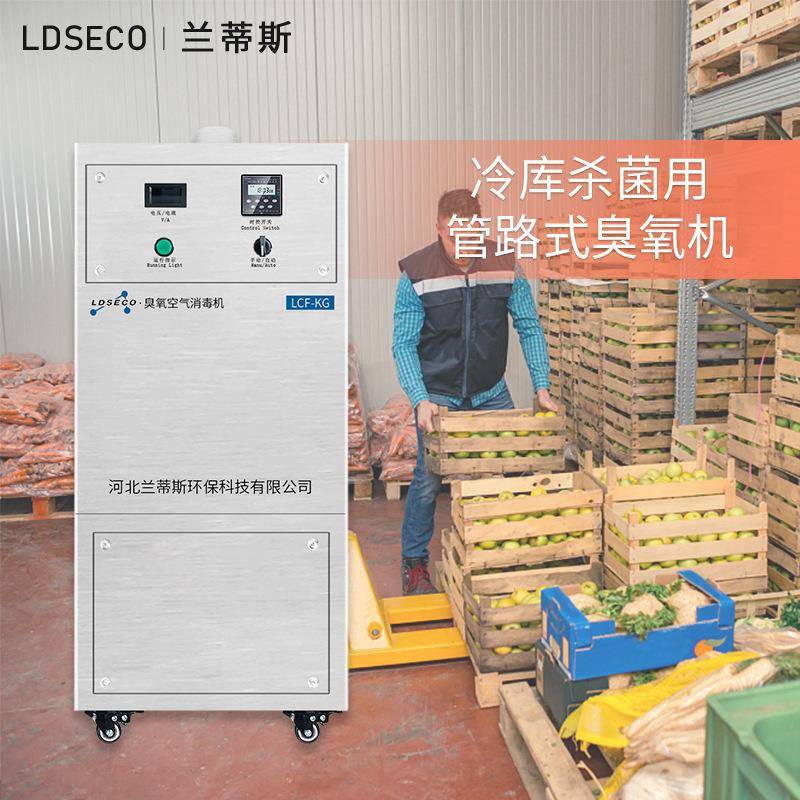 潮湿空间用风管式臭氧发生器 冷库蔬菜大棚消毒管道臭氧发生器