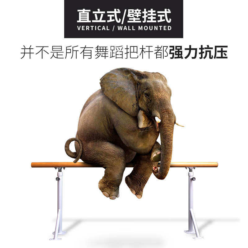儿童家用固定式体操杆直立落地舞蹈把杆成人专业升降壁挂式练功杆