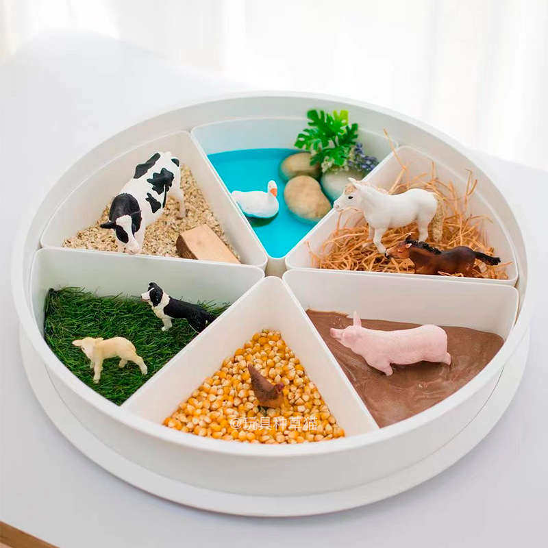 蒙氏感官盆海滩材料玩沙托盘儿童启蒙玩具早教游戏盆分格托盘教具,玩具/童车/益智/积木/模型,其它早教玩具类,淘宝优惠券,粉丝福利购,淘宝优惠卷