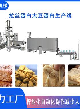组织蛋白加工设备机械柱状球状大豆植物拉丝蛋白仿荤素肉膨化机