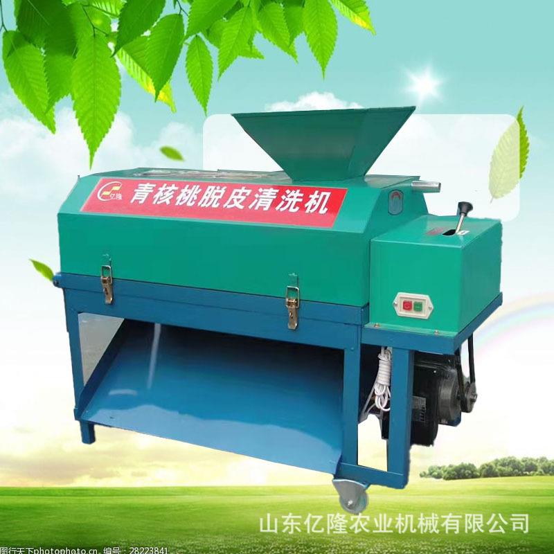 去干净无破损桃剥机壳机核 鲜核桃青皮 山核桃板栗脱YL-BKJ皮清洗