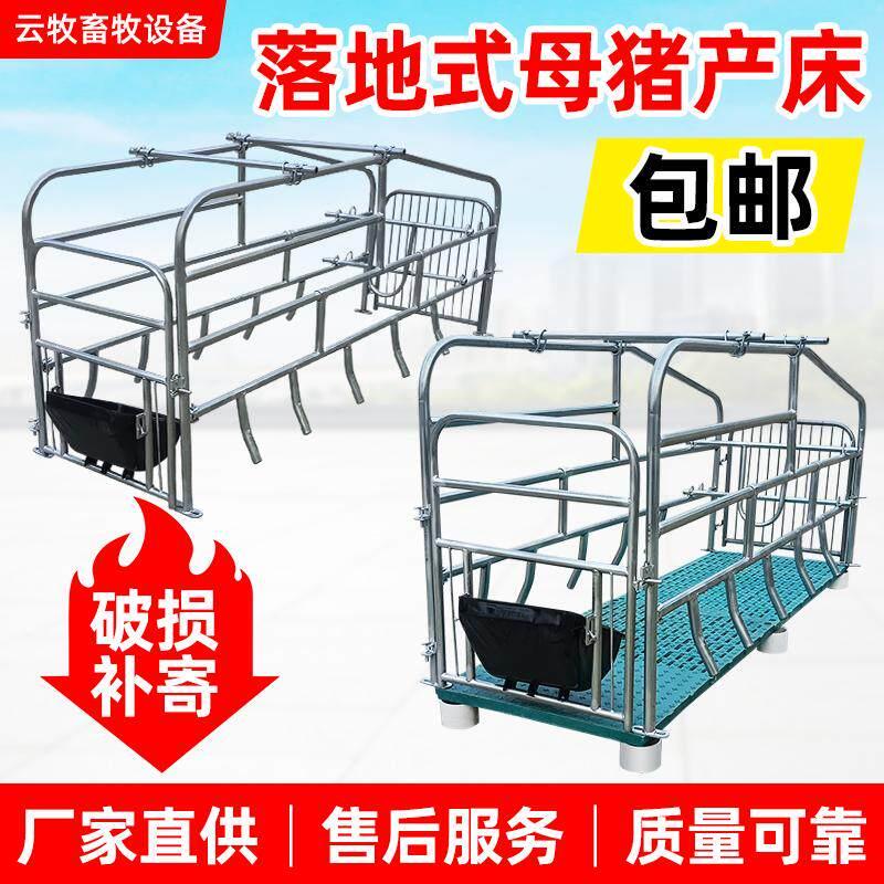 落地式母猪产床带漏粪板简易单体产床母猪围栏产床猪用落地式产床