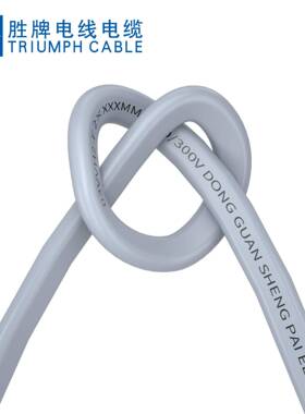 欧规纯铜两芯H05VVH2-F电源线高强度绝缘电线胜牌厂家直销