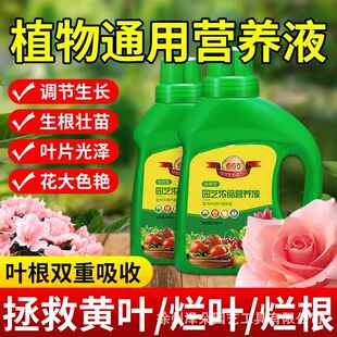 素复合肥 园艺浓缩营养液通用型家用种植绿萝多肉花卉氮磷钾微量元
