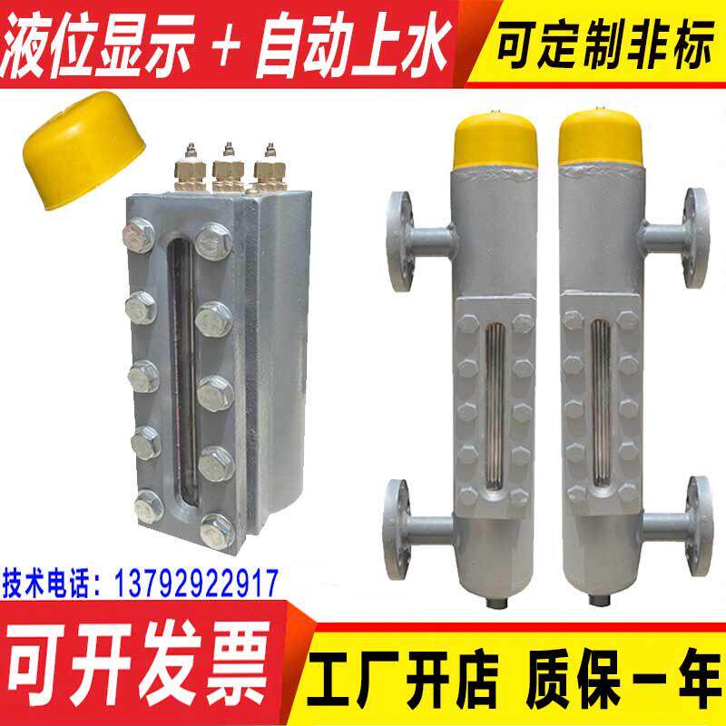 蒸汽产生器锅炉黑白水位计一体式电极式警报器接管式液位计感测器