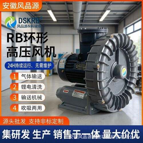 RB-1515酸性气体耐腐蚀环形鼓风机11KW防腐高压鼓风机11000W气泵