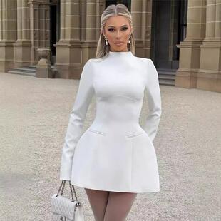 Women's Solid Mock Neck Dress Elegant Fashion Chic Long