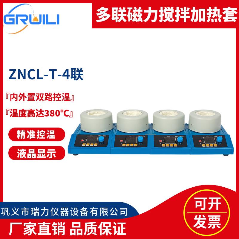 磁力搅拌电热套ZNCL-T-50ML-1000ML四联磁力搅拌器数显控温电热套