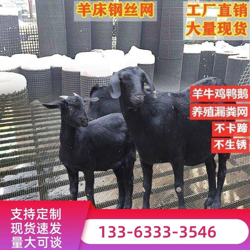 羊床钢丝网鸡鸭鹅漏粪铁网养羊养猪用的钢网铁丝网热浸镀锌编织筛