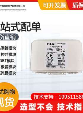 快速熔断器 保险丝170M6410 170M6411 170M6412 170M6413