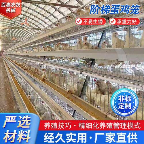 蛋鸡笼设备镀锌多层阶梯式笼养鸡设备养殖场用三层四门厂家供应