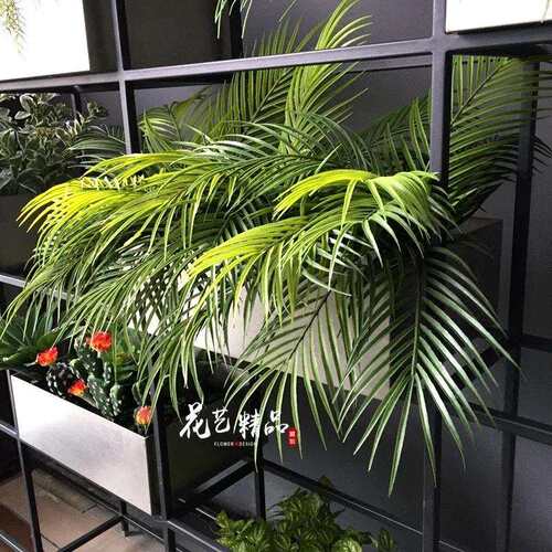 仿真绿植散尾葵客厅家居落地假花棕榈树棕树蕨小葵树摆放花艺葵椰