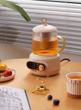 海牌多功能养生壶煮茶器小型办公室迷你型养生杯家用养生壶煮茶器